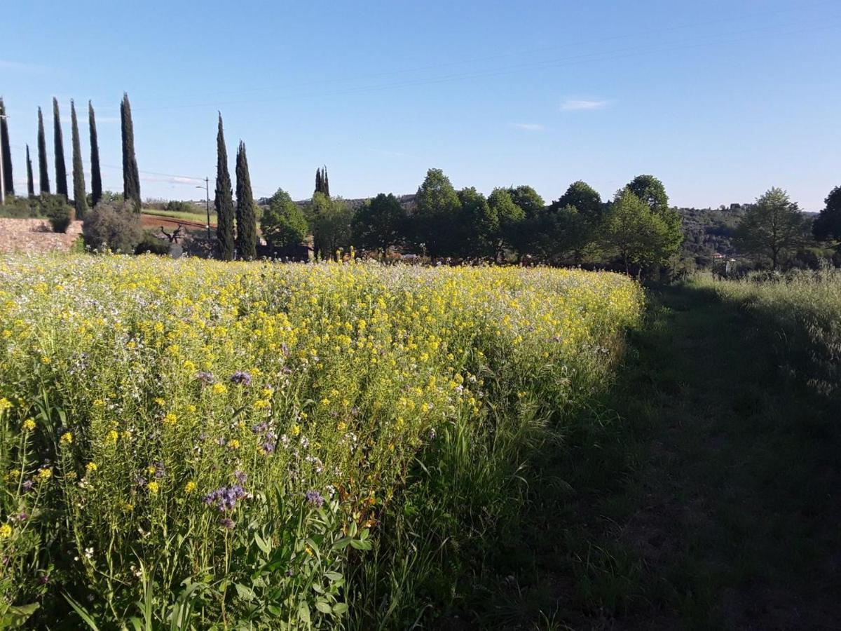 Agriturismo Fattoria Di Malavolta Florence Exterior photo